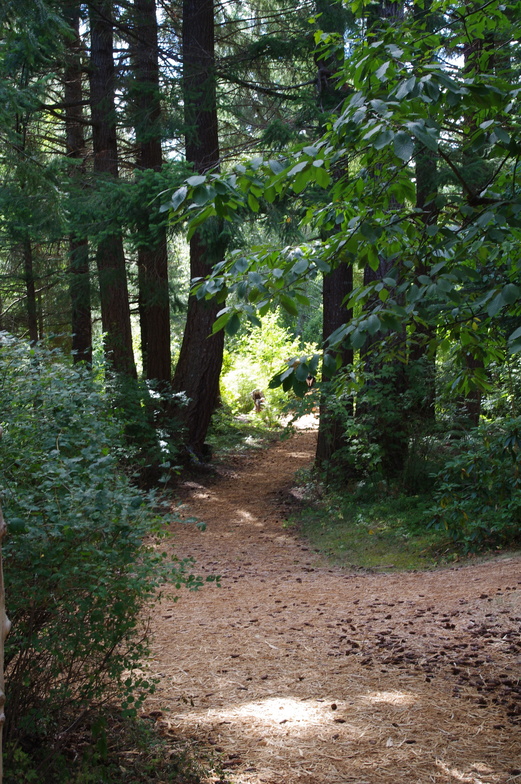 Slideshow image